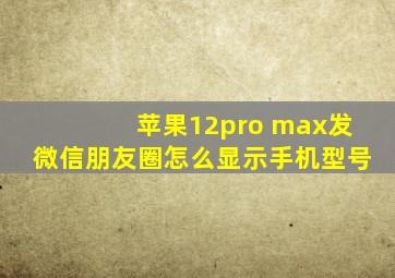 苹果12pro max发微信朋友圈怎么显示手机型号